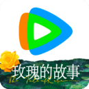 坏婢狗血重生火萤免费下载
